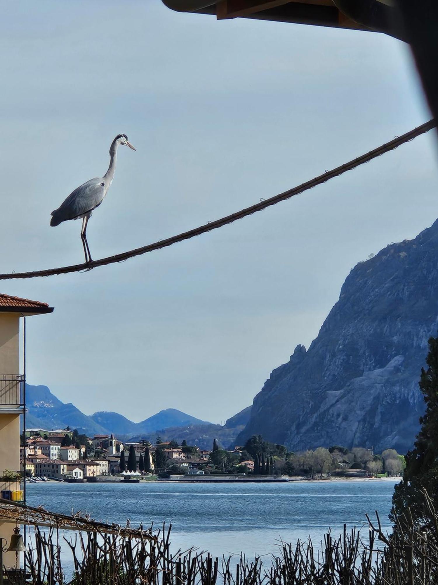 L'Airone - Casa Vacanza Mandello del Lario Exteriér fotografie