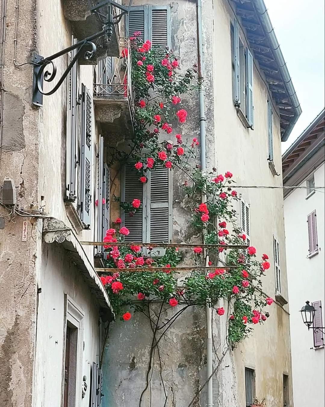 L'Airone - Casa Vacanza Mandello del Lario Exteriér fotografie